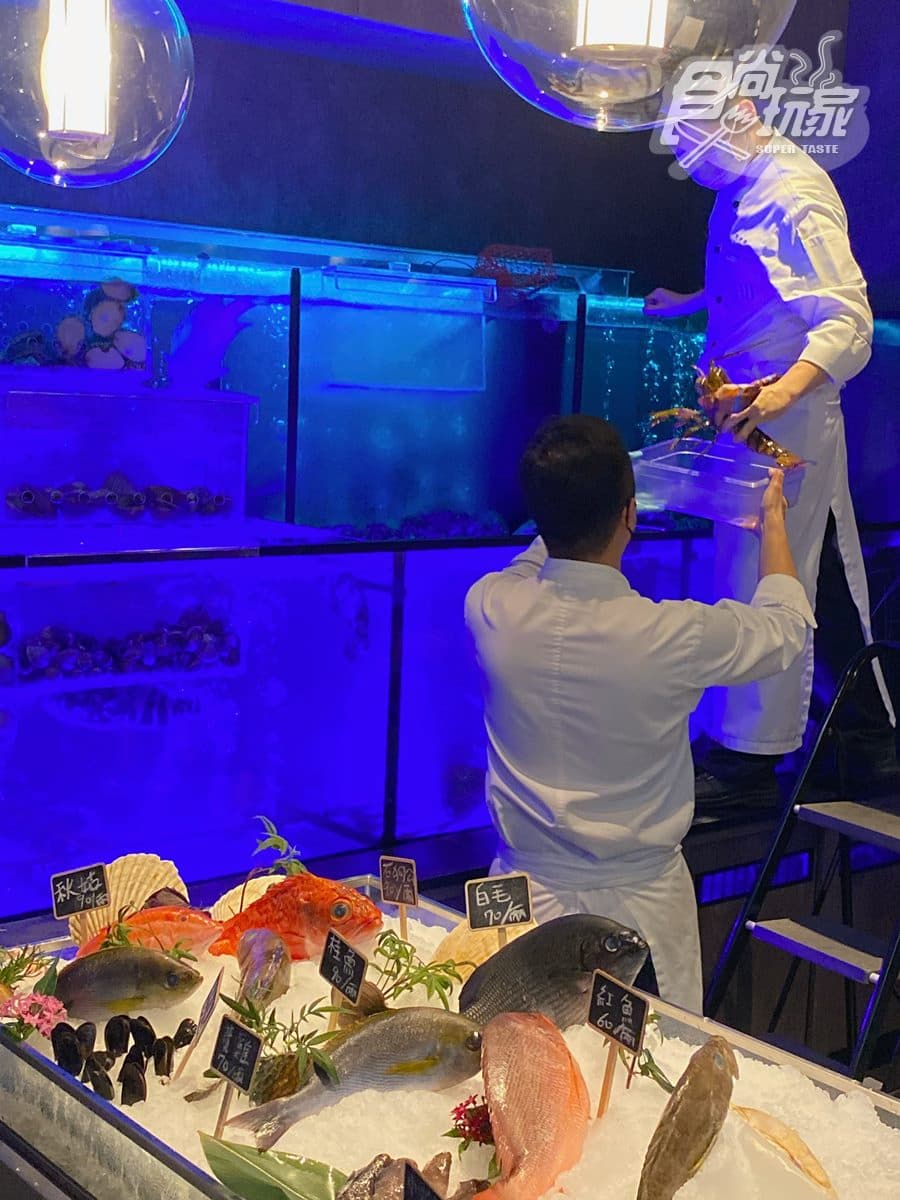 【新開店】全台最狂海產店!大面水族牆現撈帝王蟹,浮誇版米粉湯吃爆量海鮮 【新開店】全台最狂海產店!大面水族牆現撈帝王蟹,浮誇版米粉湯吃爆量海鮮