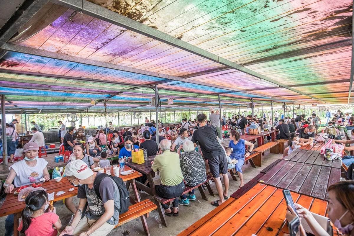 100元1票玩到飽!桃園「親子農場」週末才營業,餵兔兔、天竺鼠、小羊零距離 100元1票玩到飽!桃園「親子農場」週末才營業,餵兔兔、天竺鼠、小羊零距離