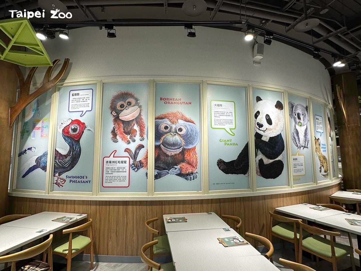 12歲以下免費入園!南北2大動物園推「全新用餐區」,先衝全台唯一貓熊餐廳 12歲以下免費入園!南北2大動物園推「全新用餐區」,先衝全台唯一貓熊餐廳