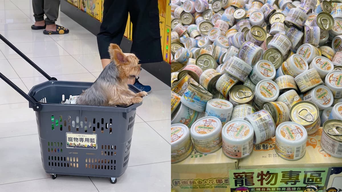 暑假必衝室內親子景點!台南5超夯夾娃娃樂園:爆夾零食、抽現金、遊樂設施 暑假必衝室內親子景點!台南5超夯夾娃娃樂園:爆夾零食、抽現金、遊樂設施