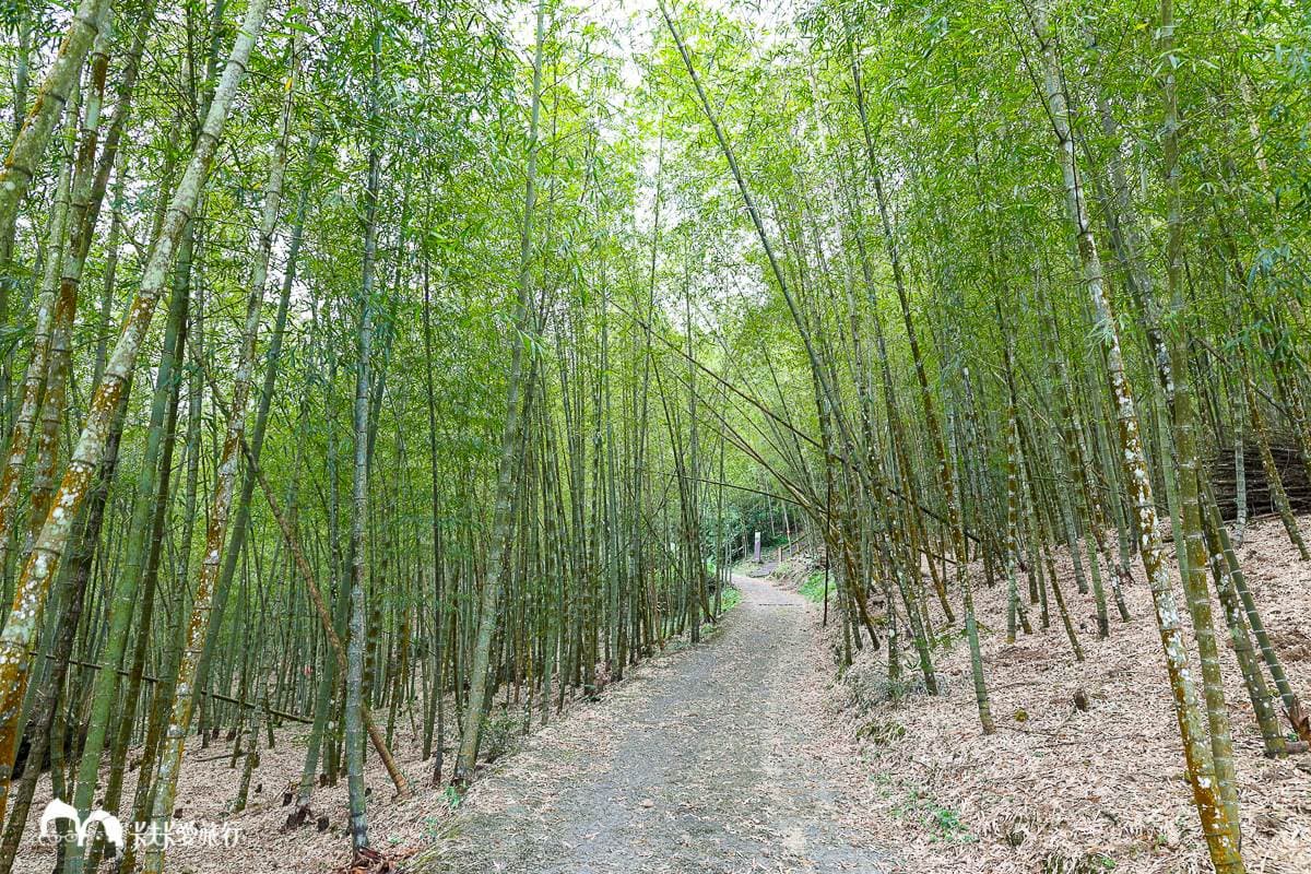 嘉義最消暑玩法!2大瀑布祕境+10條森林步道:阿里山五星級步道、嵐山竹林 嘉義最消暑玩法!2大瀑布祕境+10條森林步道:阿里山五星級步道、嵐山竹林