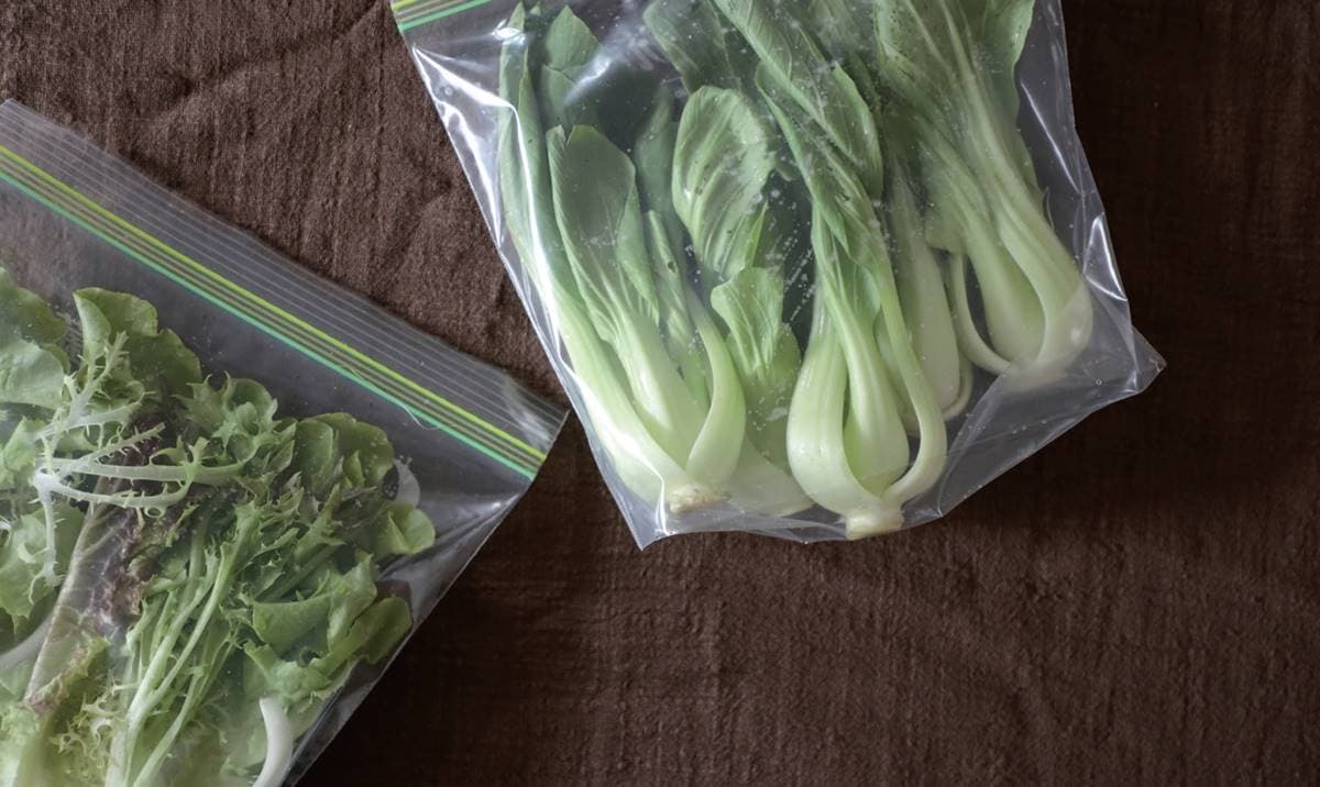 每月花6千就餵飽全家?達人教激省「聰明買菜術」,「這食材」買愈多賺愈多 每月花6千就餵飽全家?達人教激省「聰明買菜術」,「這食材」買愈多賺愈多