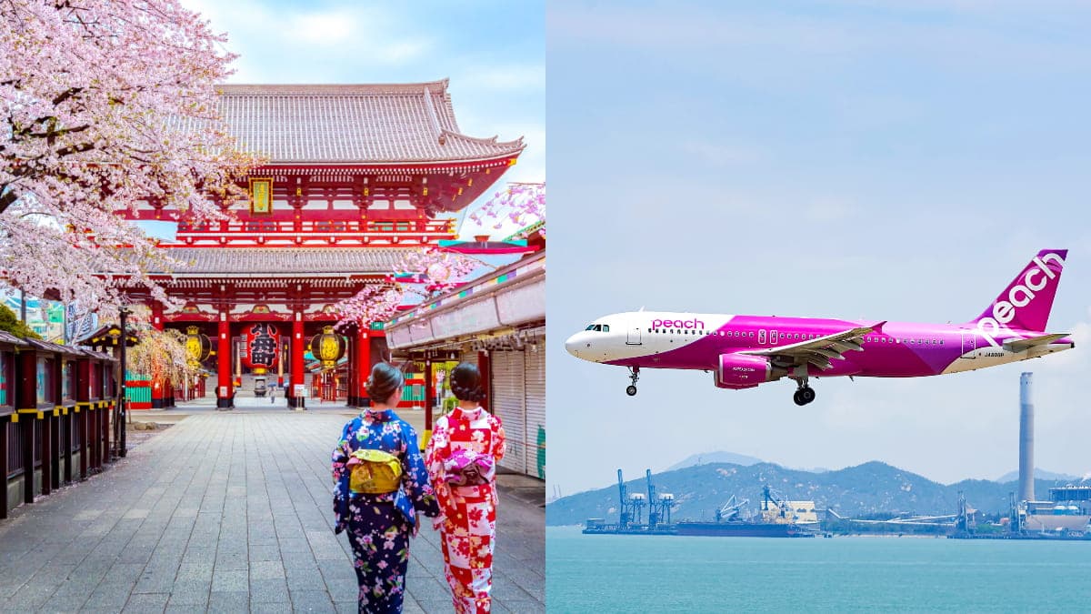 只剩2天快搶訂!樂桃日本航線「來回最低免4000元」,加碼小編實測購票結果