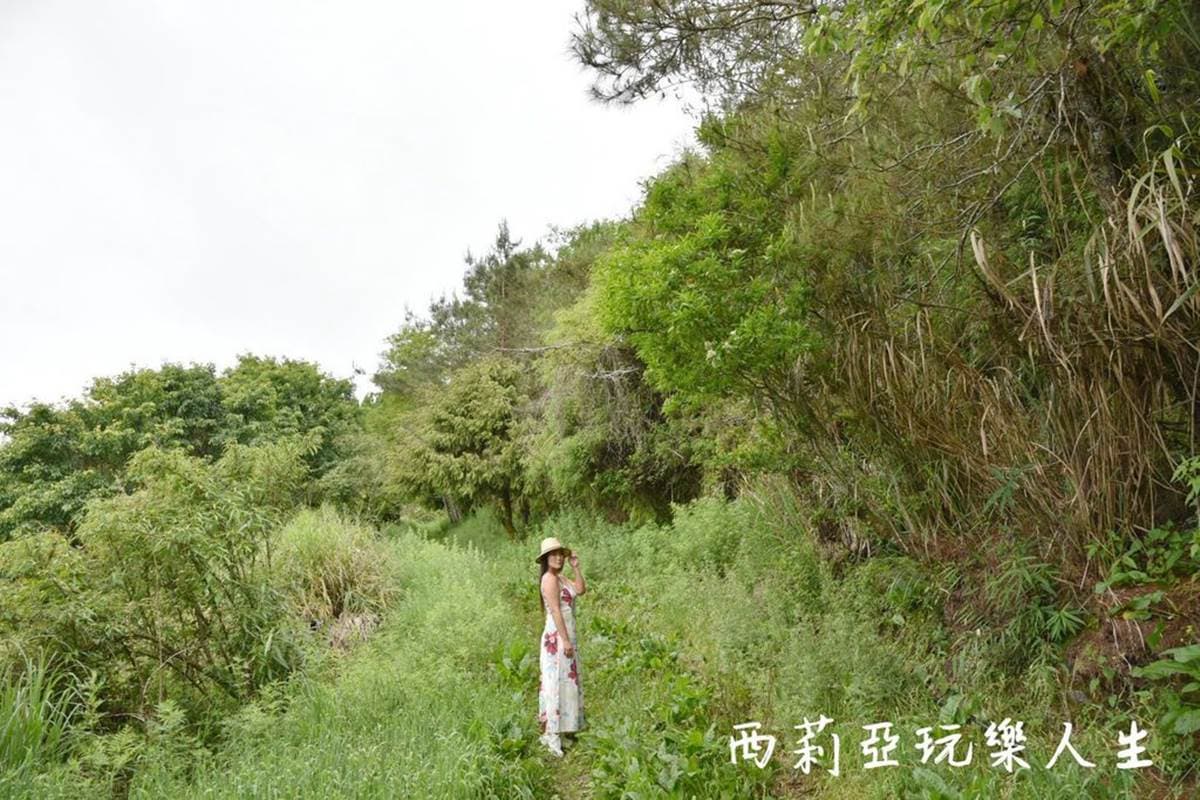 南投人不想說!仁愛鄉5私房景點:3分鐘攻頂瀑布祕境、全台最長天空步道 南投人不想說!仁愛鄉5私房景點:3分鐘攻頂瀑布祕境、全台最長天空步道