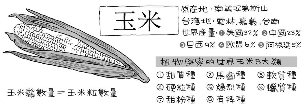 玉米竟是減肥好物!想正確瘦身就要吃對顏色,紫黃白肉要嗑「這顏色」才對 玉米竟是減肥好物!想正確瘦身就要吃對顏色,紫黃白肉要嗑「這顏色」才對