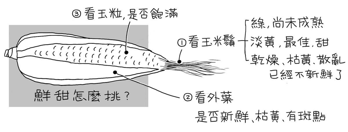 玉米竟是減肥好物!想正確瘦身就要吃對顏色,紫黃白肉要嗑「這顏色」才對 玉米竟是減肥好物!想正確瘦身就要吃對顏色,紫黃白肉要嗑「這顏色」才對