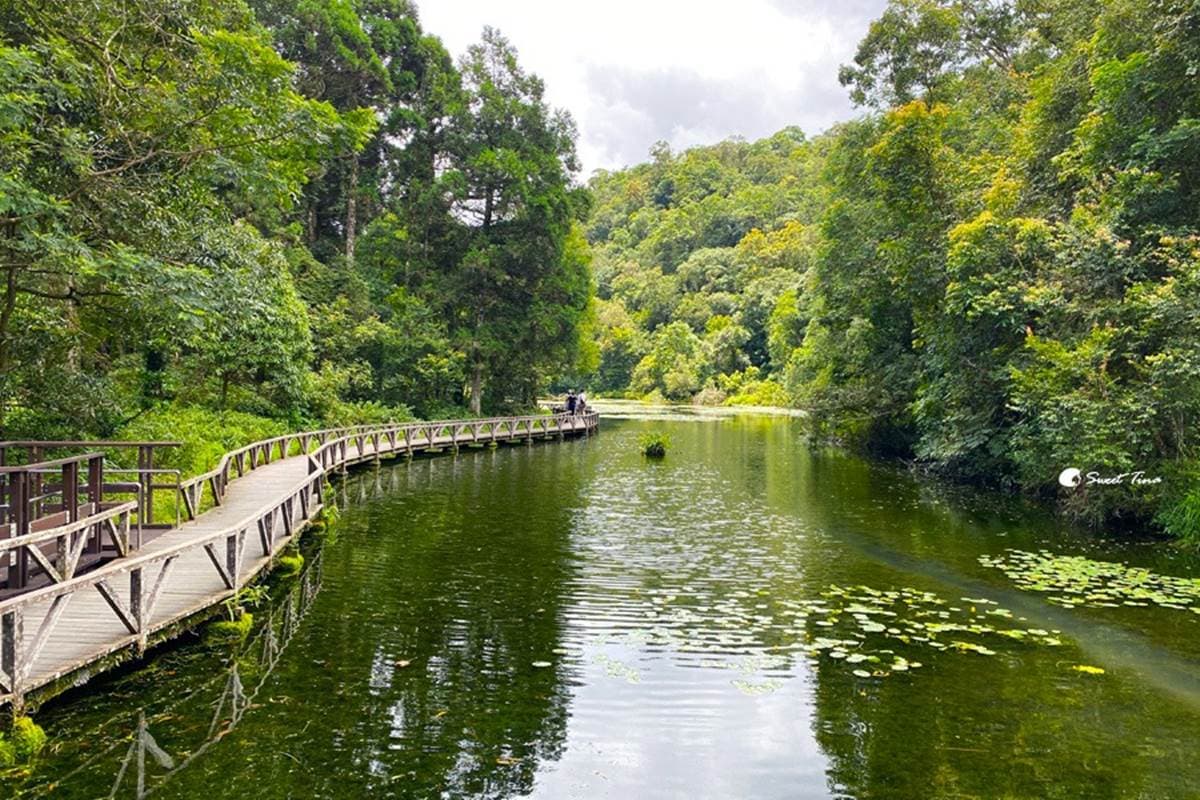 免門票「亞洲最大植物園」在這!搶拍絕美水生池、近距離賞山羌,想去先預約 免門票「亞洲最大植物園」在這!搶拍絕美水生池、近距離賞山羌,想去先預約