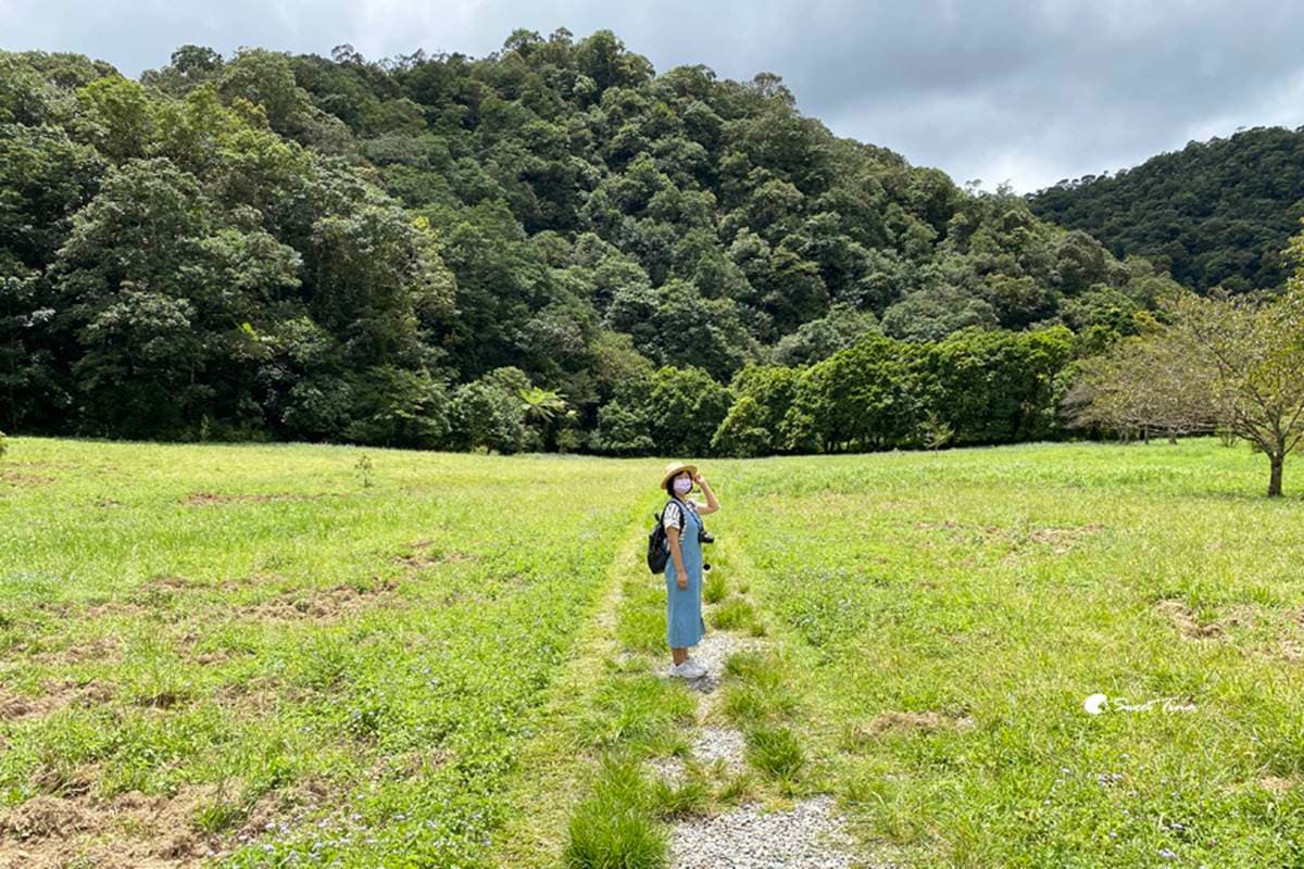 免門票「亞洲最大植物園」在這!搶拍絕美水生池、近距離賞山羌,想去先預約 免門票「亞洲最大植物園」在這!搶拍絕美水生池、近距離賞山羌,想去先預約
