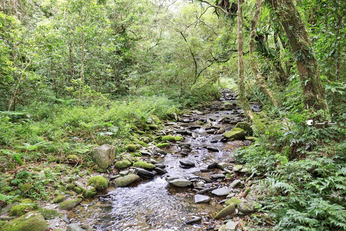 免門票「亞洲最大植物園」在這!搶拍絕美水生池、近距離賞山羌,想去先預約 免門票「亞洲最大植物園」在這!搶拍絕美水生池、近距離賞山羌,想去先預約