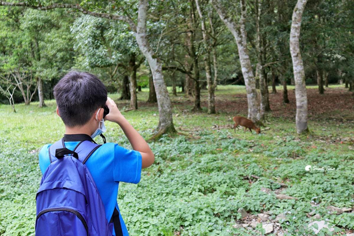 免門票「亞洲最大植物園」在這!搶拍絕美水生池、近距離賞山羌,想去先預約 免門票「亞洲最大植物園」在這!搶拍絕美水生池、近距離賞山羌,想去先預約