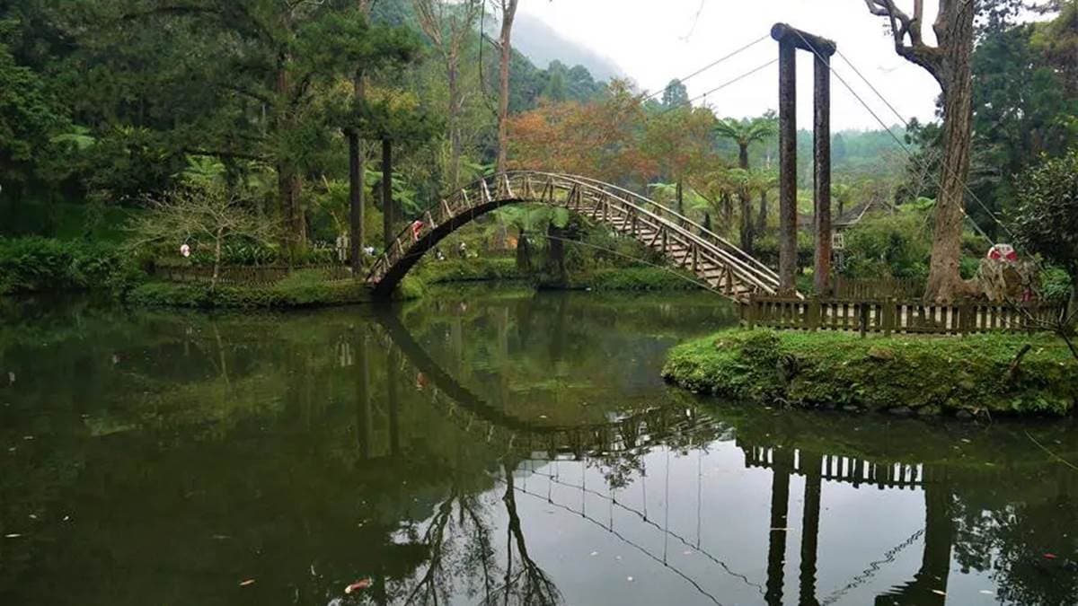 溪頭自然教育園區 img