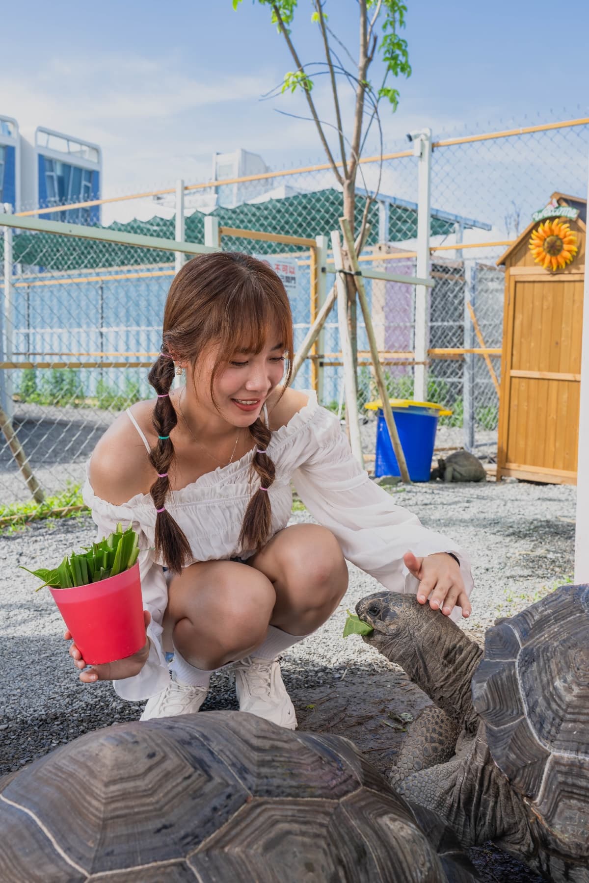 【獨家】門票買一送一!宜蘭2023新農場「熊貓羊」報到,還可餵食水豚家族 【獨家】門票買一送一!宜蘭2023新農場「熊貓羊」報到,還可餵食水豚家族