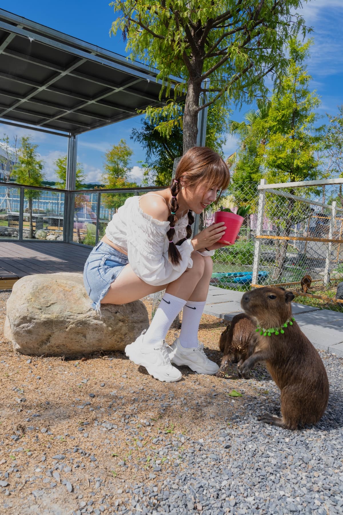 【獨家】門票買一送一!宜蘭2023新農場「熊貓羊」報到,還可餵食水豚家族 【獨家】門票買一送一!宜蘭2023新農場「熊貓羊」報到,還可餵食水豚家族