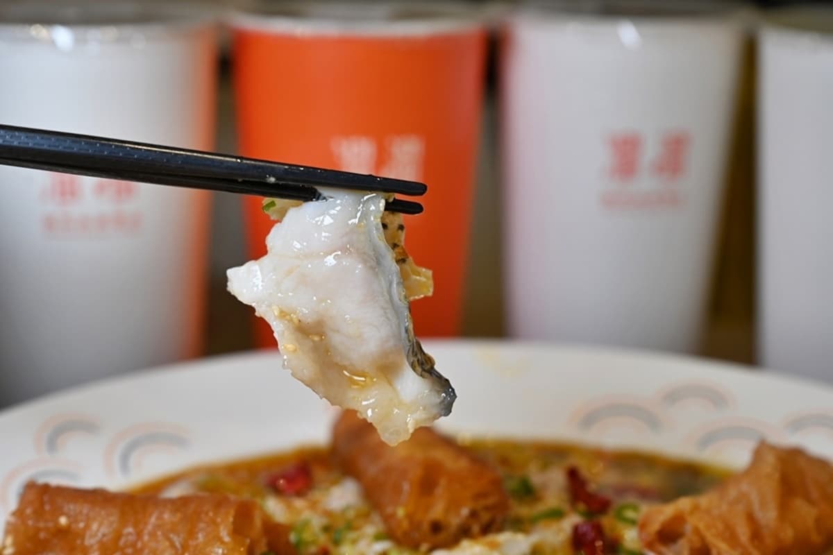 抽台北漢來住宿券!全台4家「酸菜魚」限時優惠:送椒麻酥肉、111元折扣 抽台北漢來住宿券!全台4家「酸菜魚」限時優惠:送椒麻酥肉、111元折扣