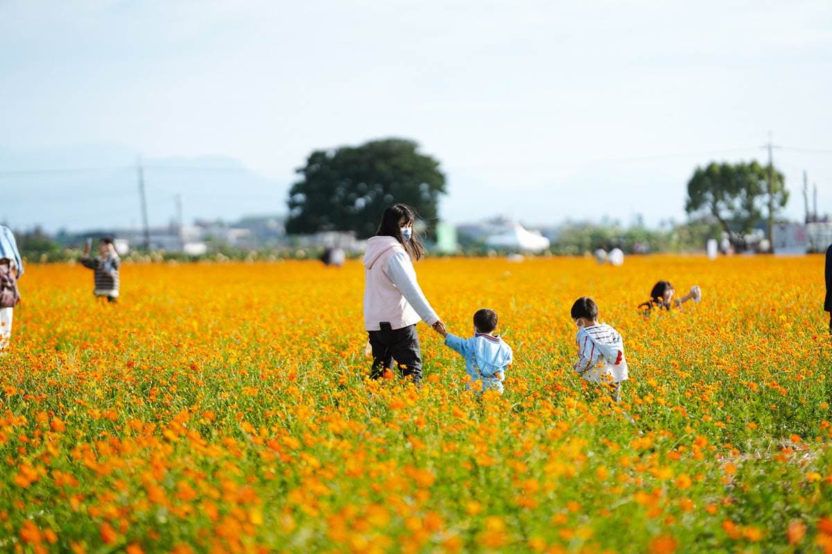 全台最大「花海市集」2天快閃嘉義!免費拍萬坪花海、逛百家餐飲+文創品牌 全台最大「花海市集」2天快閃嘉義!免費拍萬坪花海、逛百家餐飲+文創品牌