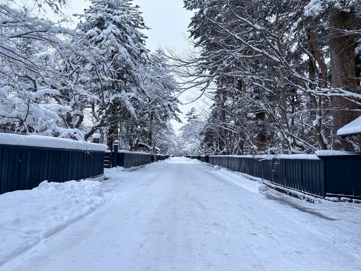 冬季必遊「東北小京都」!衝秋田賞夢幻雪景、武士故居,還有超萌秋田犬迎客 冬季必遊「東北小京都」!衝秋田賞夢幻雪景、武士故居,還有超萌秋田犬迎客