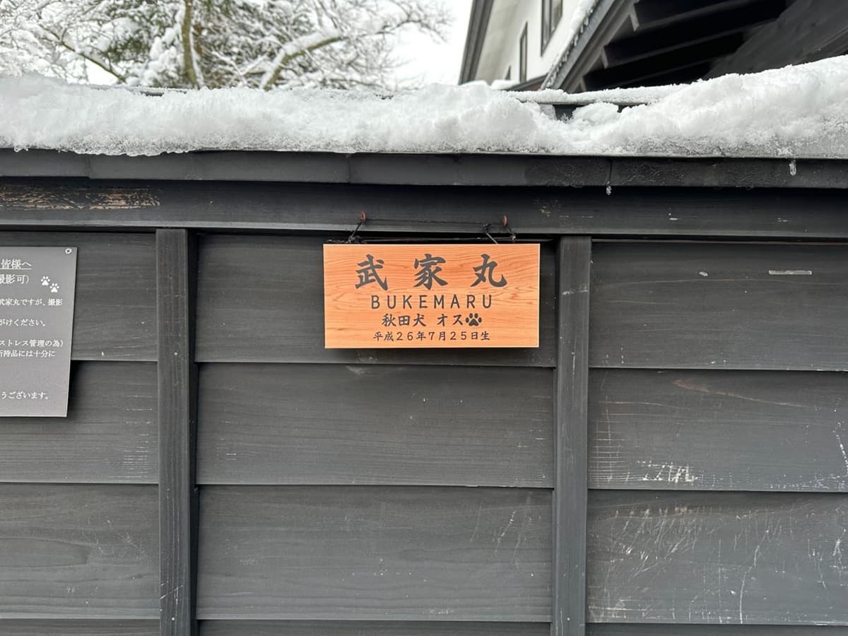 冬季必遊「東北小京都」!衝秋田賞夢幻雪景、武士故居,還有超萌秋田犬迎客 冬季必遊「東北小京都」!衝秋田賞夢幻雪景、武士故居,還有超萌秋田犬迎客