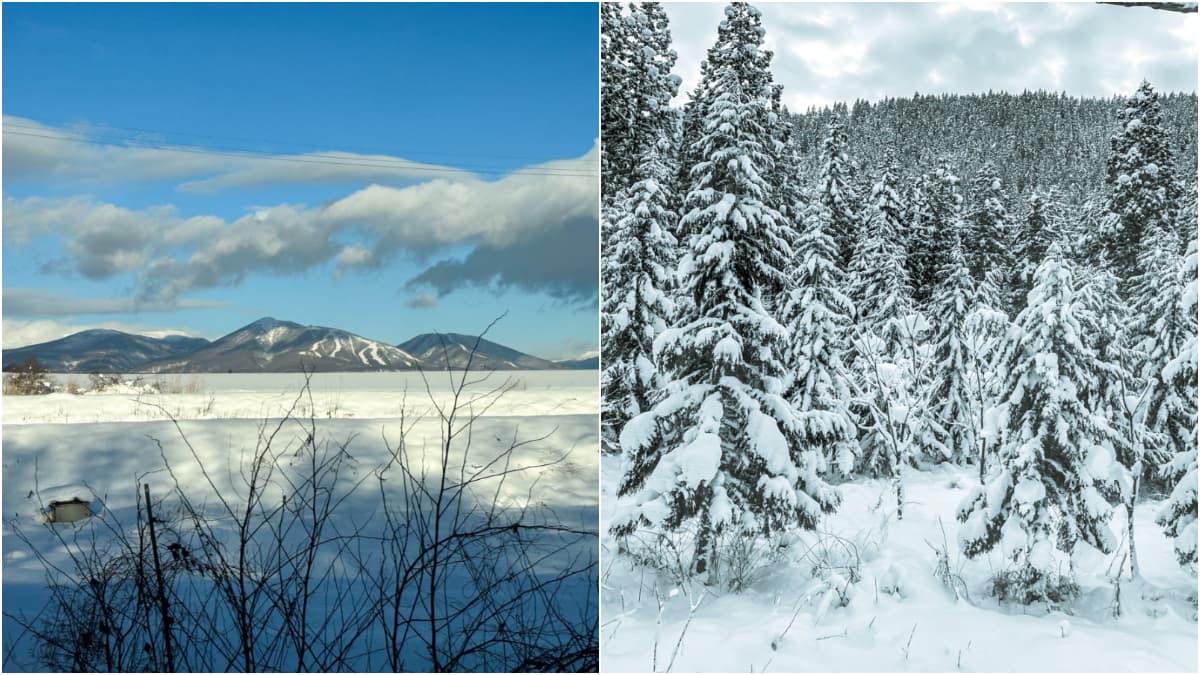 冬季必遊「東北小京都」!衝秋田賞夢幻雪景、武士故居,還有超萌秋田犬迎客 冬季必遊「東北小京都」!衝秋田賞夢幻雪景、武士故居,還有超萌秋田犬迎客