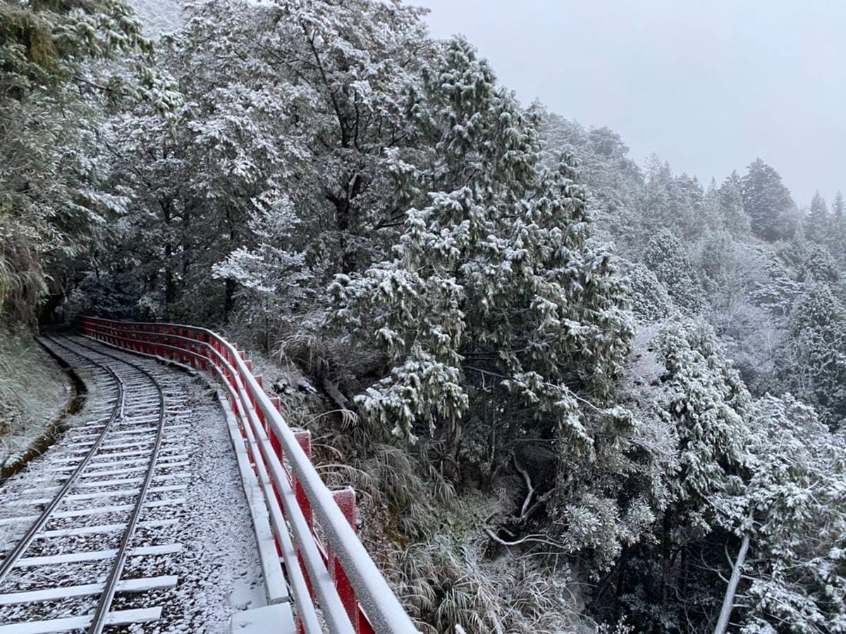宜蘭太平山下雪啦!觀景台、火車鐵軌積雪秒變「雪白仙境」,追雪族快朝聖 宜蘭太平山下雪啦!觀景台、火車鐵軌積雪秒變「雪白仙境」,追雪族快朝聖