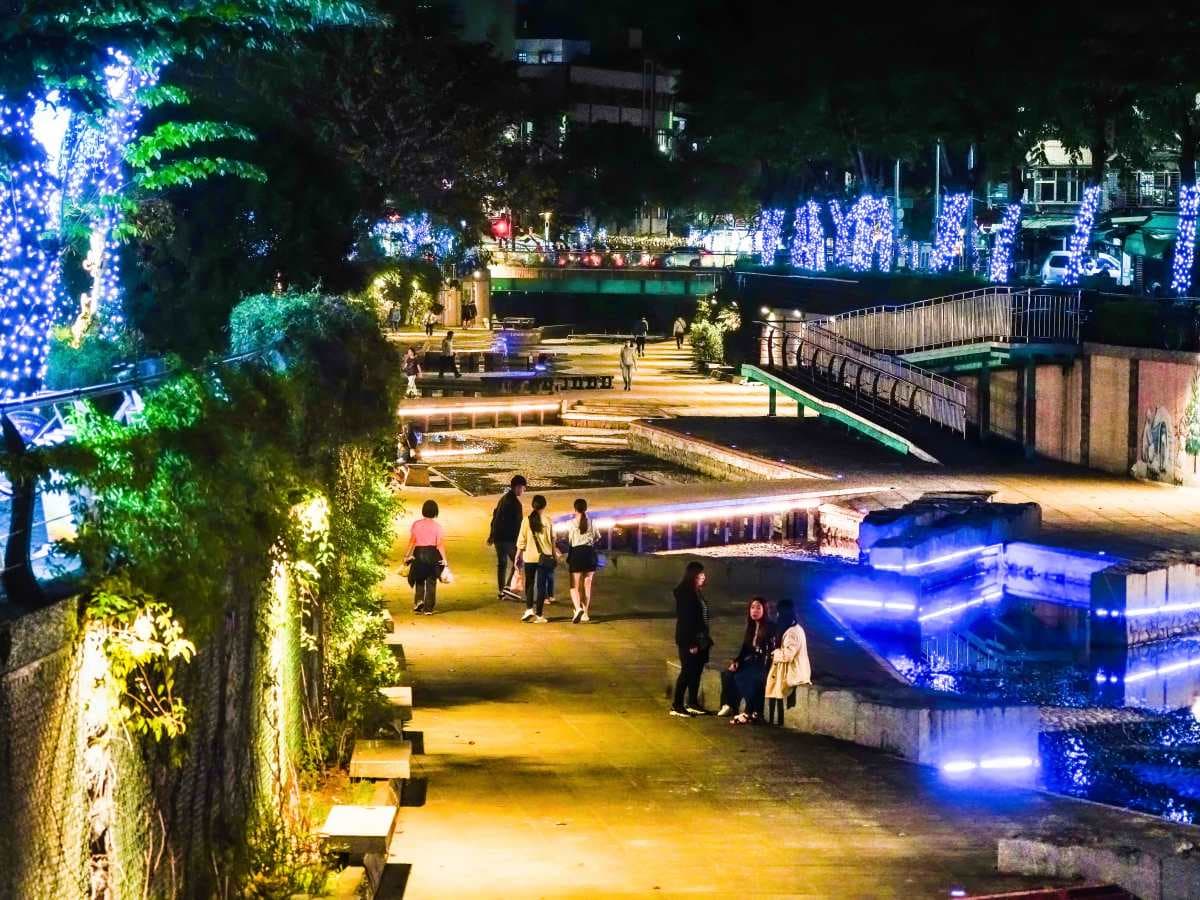 軟萌麋鹿、兔兔誤闖中港大排!2公里燈海河廊免費拍,快朝聖新莊最美夜景 軟萌麋鹿、兔兔誤闖中港大排!2公里燈海河廊免費拍,快朝聖新莊最美夜景