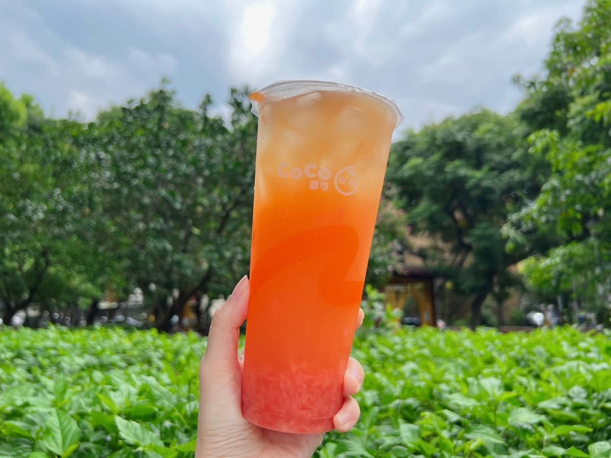 CoCo 都可最新菜單、活動!2026飲料價格,必喝百香雙響炮、奶茶三兄弟 【CoCo菜單推薦必喝】05. 葡萄柚果粒茶