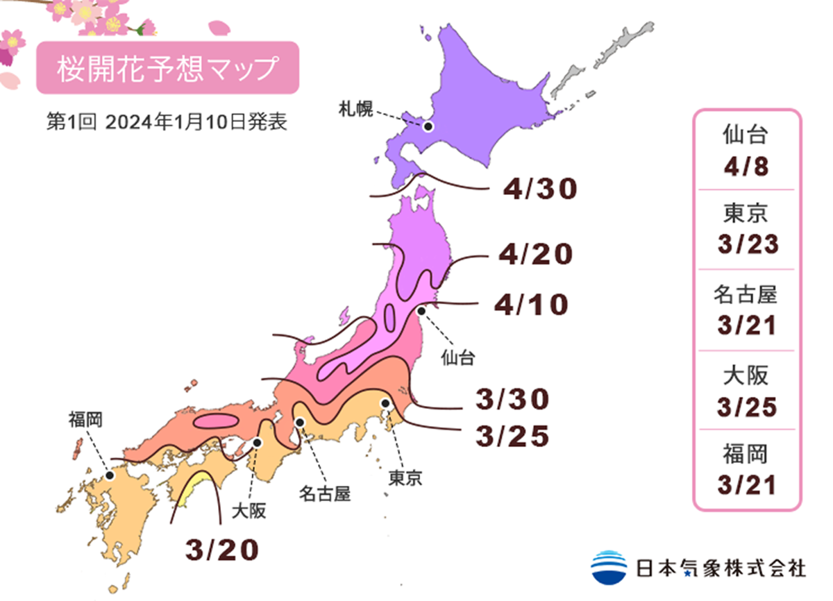 2024日本「櫻花前線」公布!暖冬氣候影響花況,注意時間別撲空 2024日本「櫻花前線」公布!暖冬氣候影響花況,注意時間別撲空