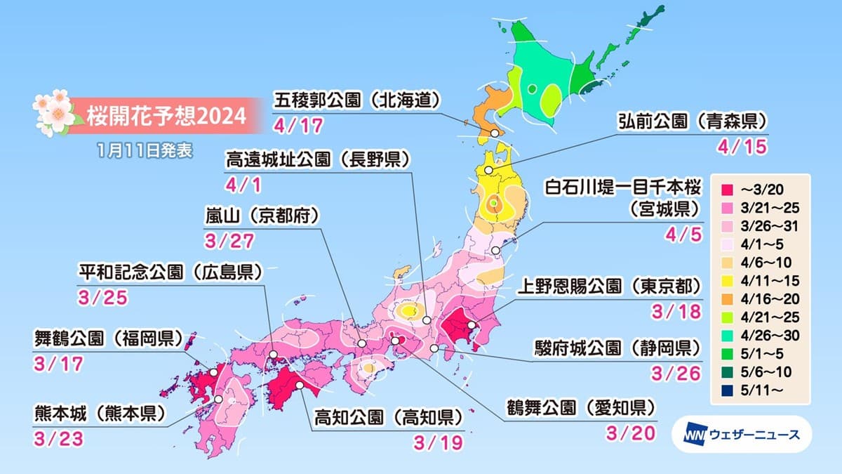2024日本「櫻花前線」公布!暖冬氣候影響花況,注意時間別撲空 2024日本「櫻花前線」公布!暖冬氣候影響花況,注意時間別撲空