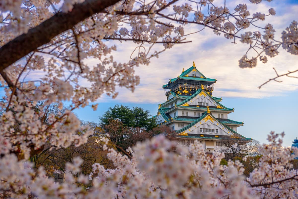 2024日本「櫻花前線」公布!暖冬氣候影響花況,注意時間別撲空 2024日本「櫻花前線」公布!暖冬氣候影響花況,注意時間別撲空