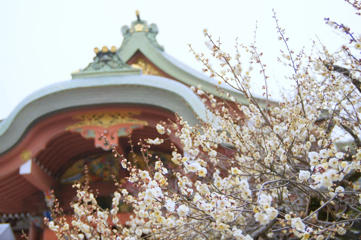 住大阪每晚千元價!捷絲旅「日本分館」月底前搶優惠,還送早餐+GODIVA 住大阪每晚千元價!捷絲旅「日本分館」月底前搶優惠,還送早餐+GODIVA