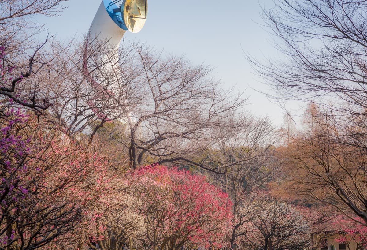 住大阪每晚千元價!捷絲旅「日本分館」月底前搶優惠,還送早餐+GODIVA 住大阪每晚千元價!捷絲旅「日本分館」月底前搶優惠,還送早餐+GODIVA