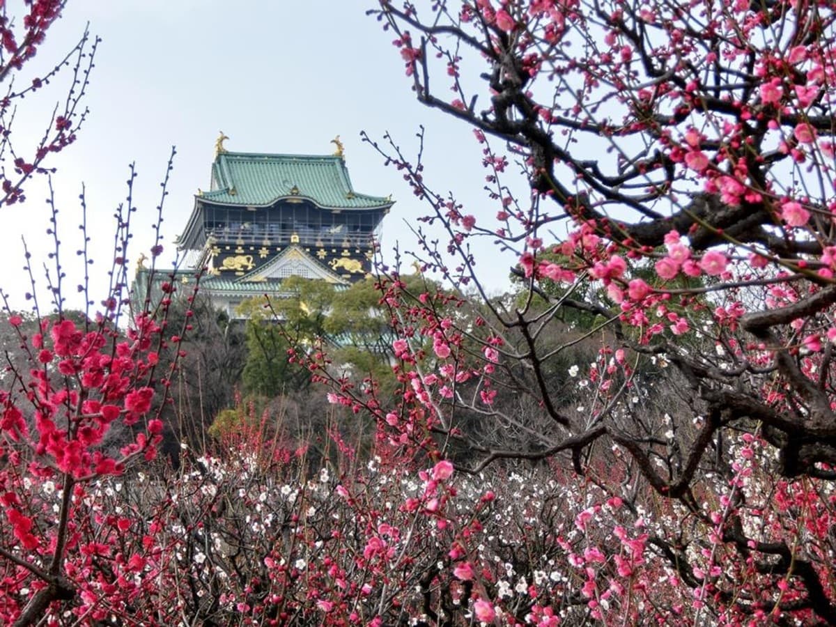 住大阪每晚千元價!捷絲旅「日本分館」月底前搶優惠,還送早餐+GODIVA 住大阪每晚千元價!捷絲旅「日本分館」月底前搶優惠,還送早餐+GODIVA