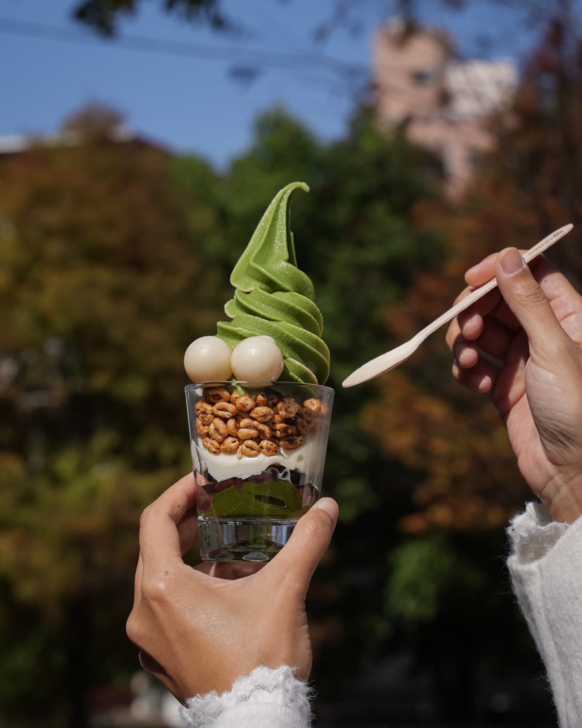 桃園人「霜淇淋買一送一」!人氣抹茶店進駐百年古宅,再吃冬限定甜湯 桃園人「霜淇淋買一送一」!人氣抹茶店進駐百年古宅,再吃冬限定甜湯