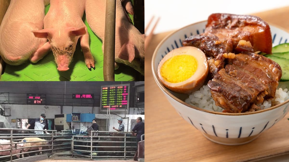 你吃的爌肉飯跟他有關!台灣「最神祕職業」每天上班2小時,全靠獨到眼光