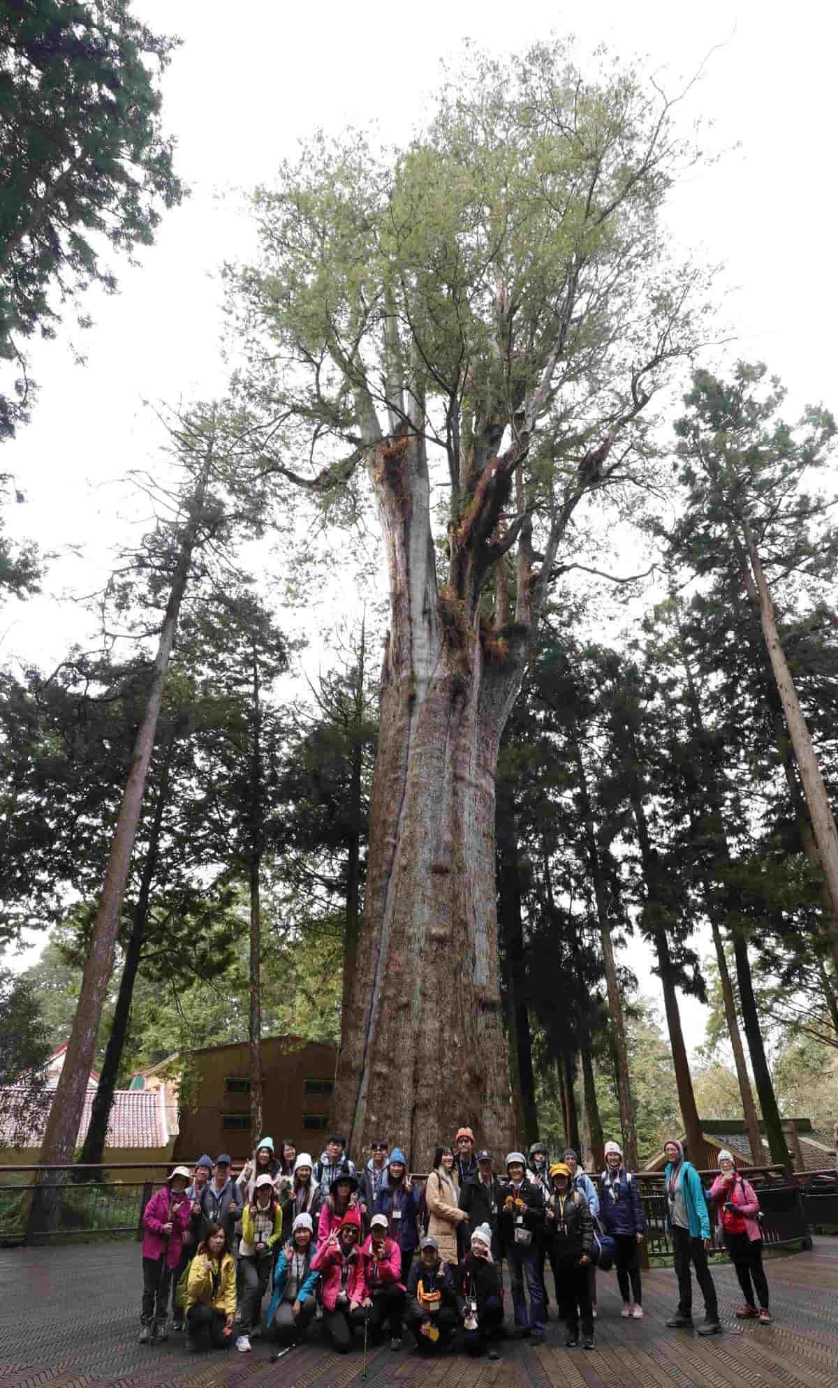 「微笑星空」美翻!超難搶觀星體驗營「這天」開放報名,梯次、費用一次看 「微笑星空」美翻!超難搶觀星體驗營「這天」開放報名,梯次、費用一次看