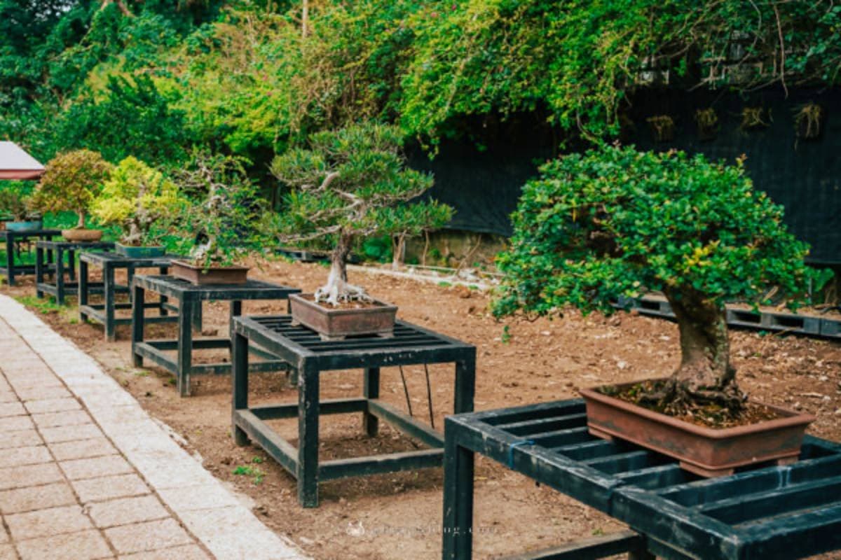 超過20種動物萌翻!桃園「萬坪親子莊園」最低100元爽玩,還有超放電遊樂場 超過20種動物萌翻!桃園「萬坪親子莊園」最低100元爽玩,還有超放電遊樂場