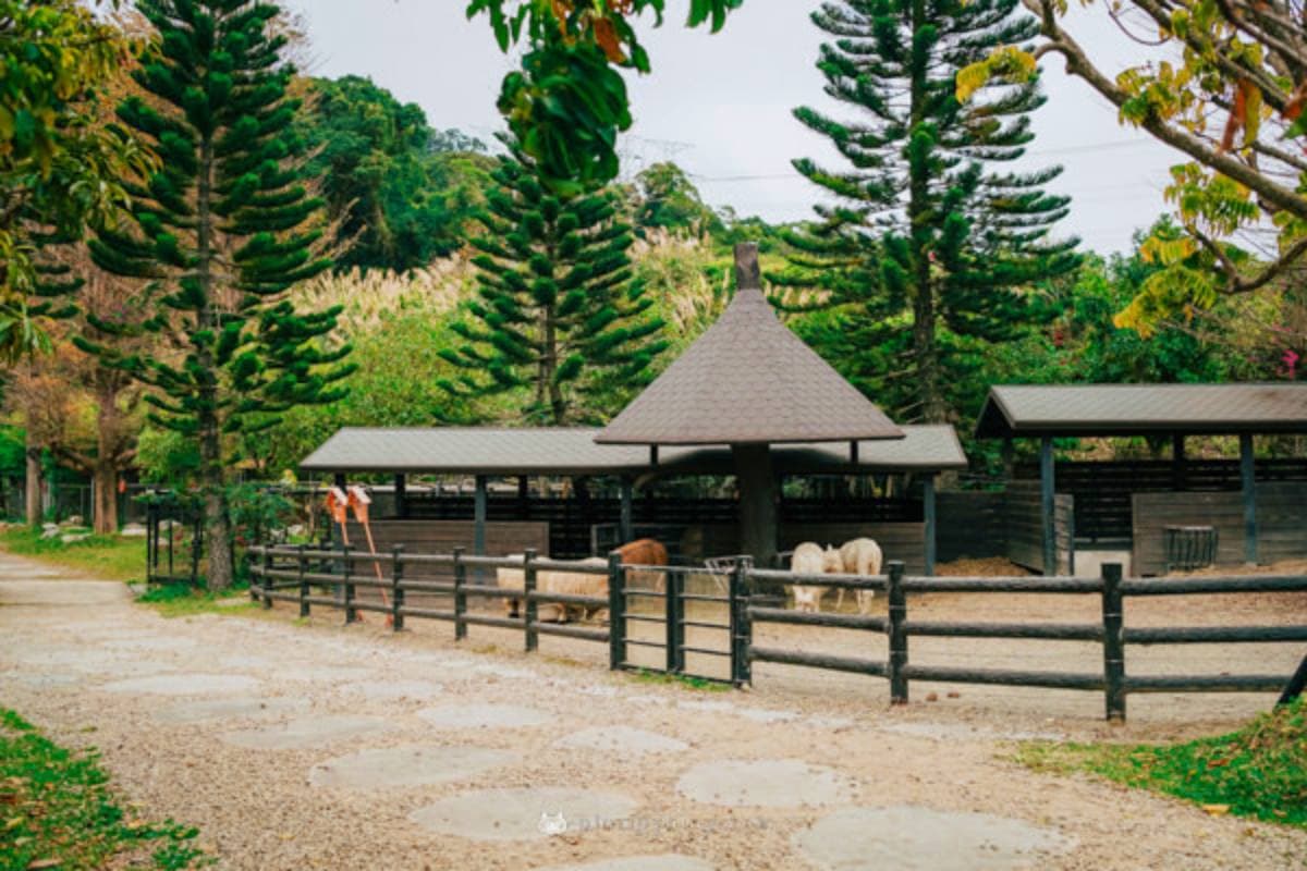 超過20種動物萌翻!桃園「萬坪親子莊園」最低100元爽玩,還有超放電遊樂場 超過20種動物萌翻!桃園「萬坪親子莊園」最低100元爽玩,還有超放電遊樂場