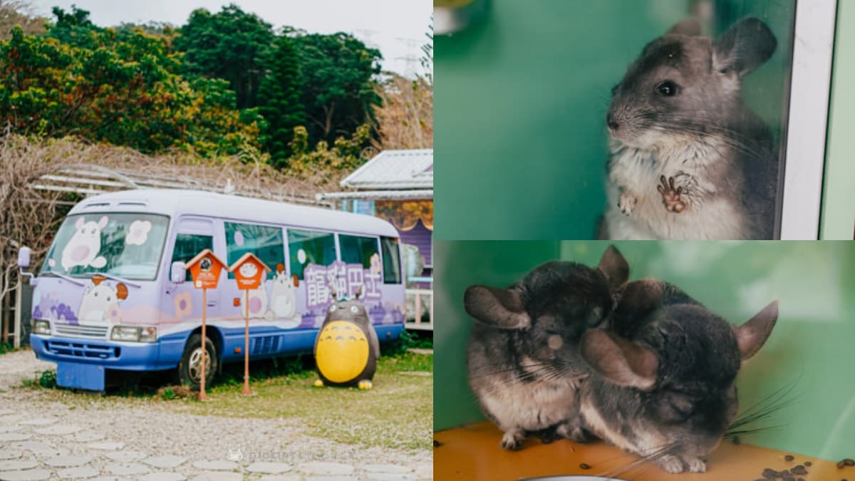 超過20種動物萌翻!桃園「萬坪親子莊園」最低100元爽玩,還有超放電遊樂場 超過20種動物萌翻!桃園「萬坪親子莊園」最低100元爽玩,還有超放電遊樂場