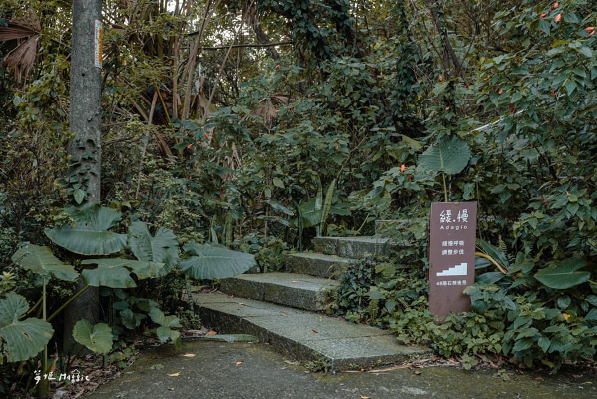山海美景在眼前!入住金瓜石森林民宿放空,還能挑命定香氛、嘗無菜單料理 山海美景在眼前!入住金瓜石森林民宿放空,還能挑命定香氛、嘗無菜單料理