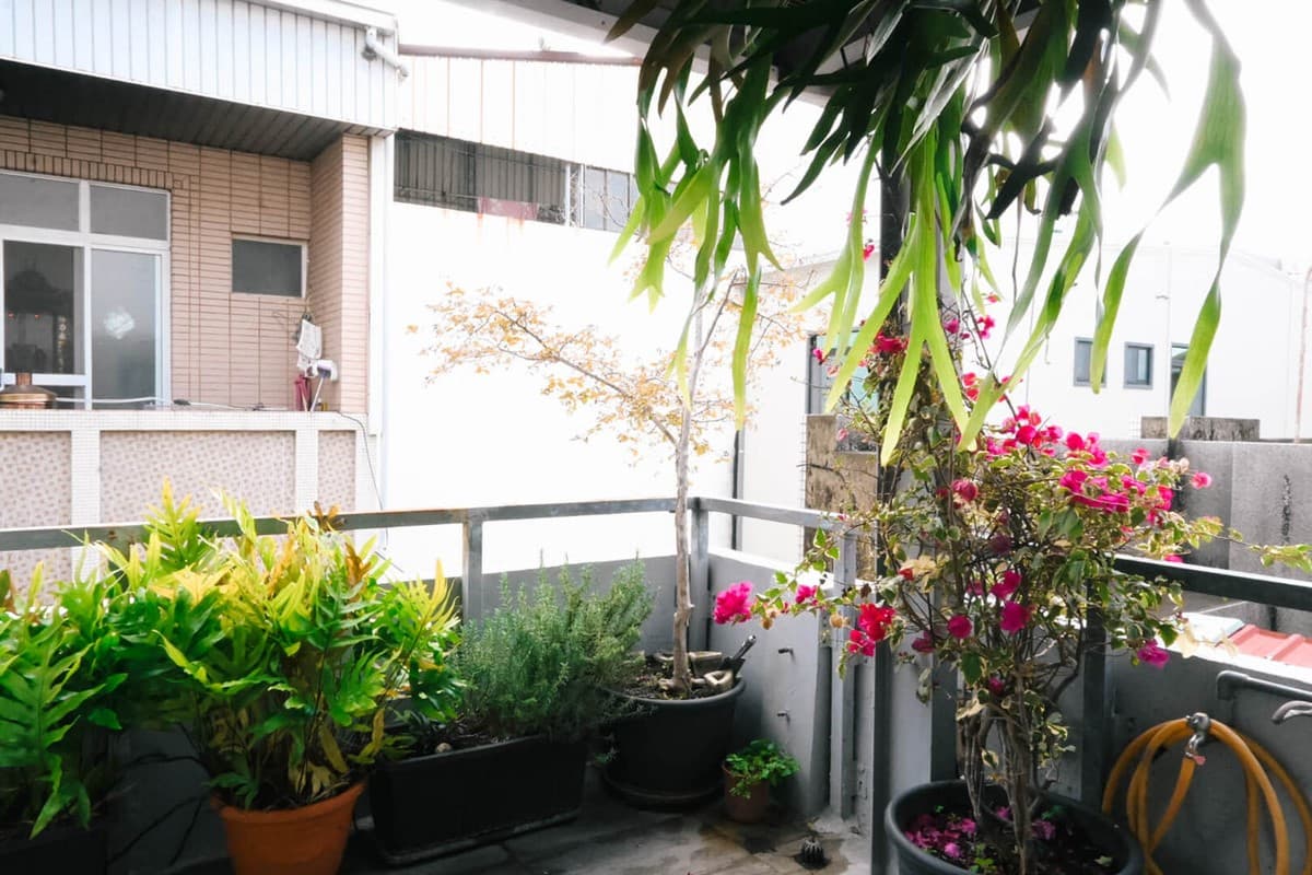 衝台南住每晚免800元!一甲子老宅睡1晚,獨享明亮和室、花園陽台 衝台南住每晚免800元!一甲子老宅睡1晚,獨享明亮和室、花園陽台