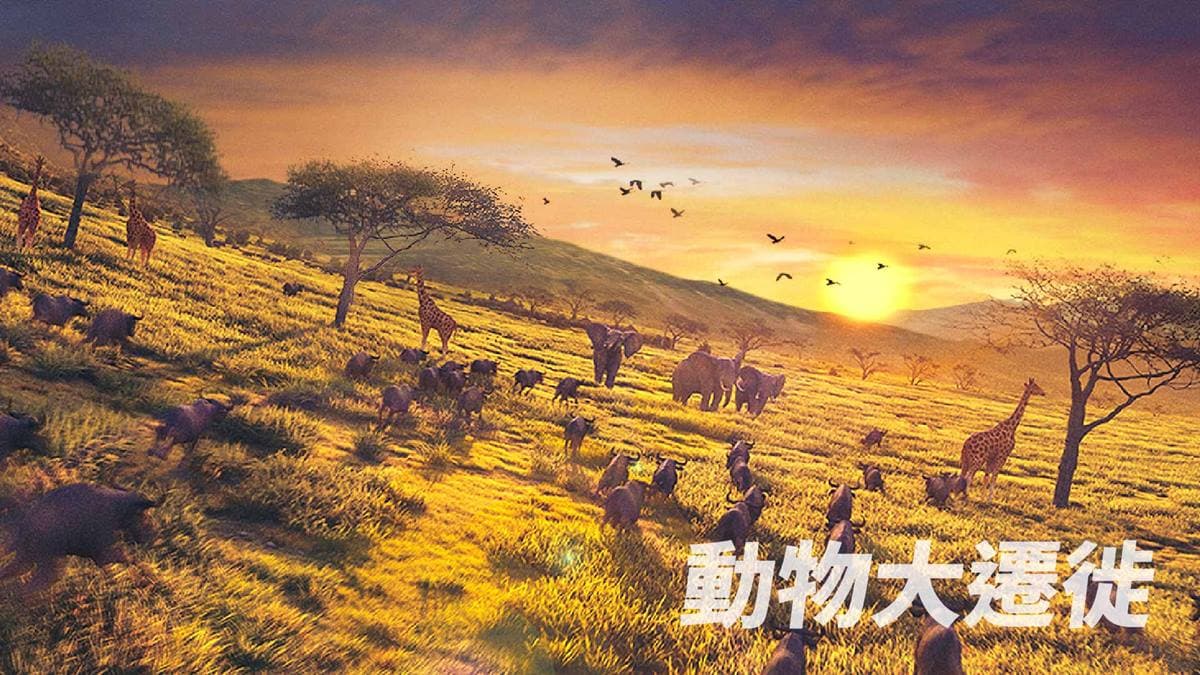 前400位免費看電影!衝「5D飛行劇院」秒到非洲,撒哈拉沙漠、尼羅河近在眼前公布 (中獎公布) 前400位免費看電影!衝「5D飛行劇院」秒到非洲,撒哈拉沙漠、尼羅河近在眼前公布 (中獎公布)