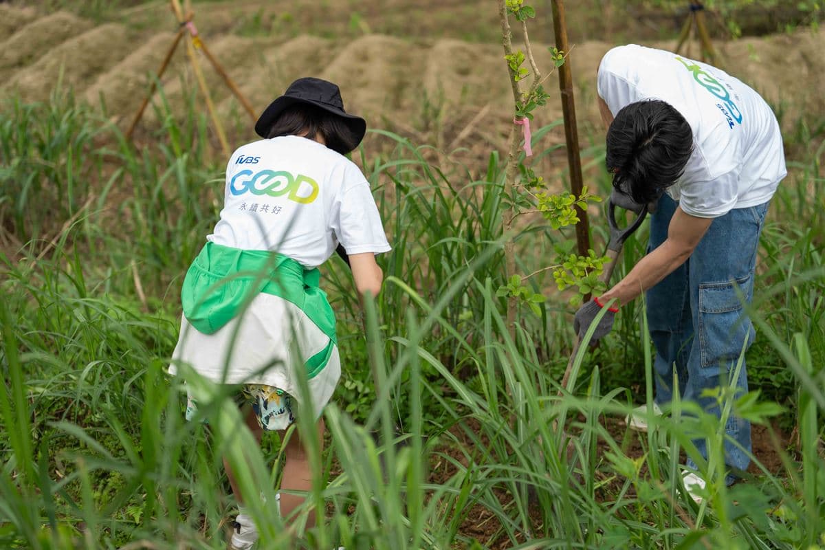 「TVBS GOOD」新品牌亮相!挺永續、倡議減塑,從生活策動日常永續革命 「TVBS GOOD」新品牌亮相!挺永續、倡議減塑,從生活策動日常永續革命