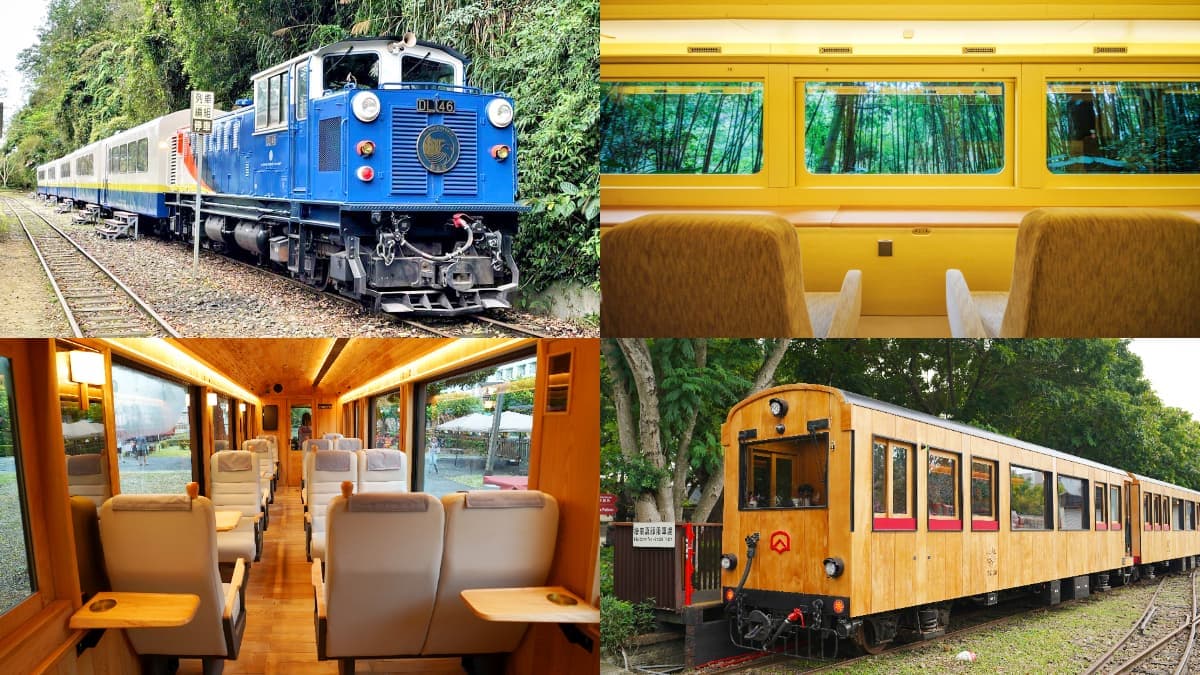 2輛阿里山最美小火車「這時」正式通車!大面山景窗美翻,套裝遊程明開賣