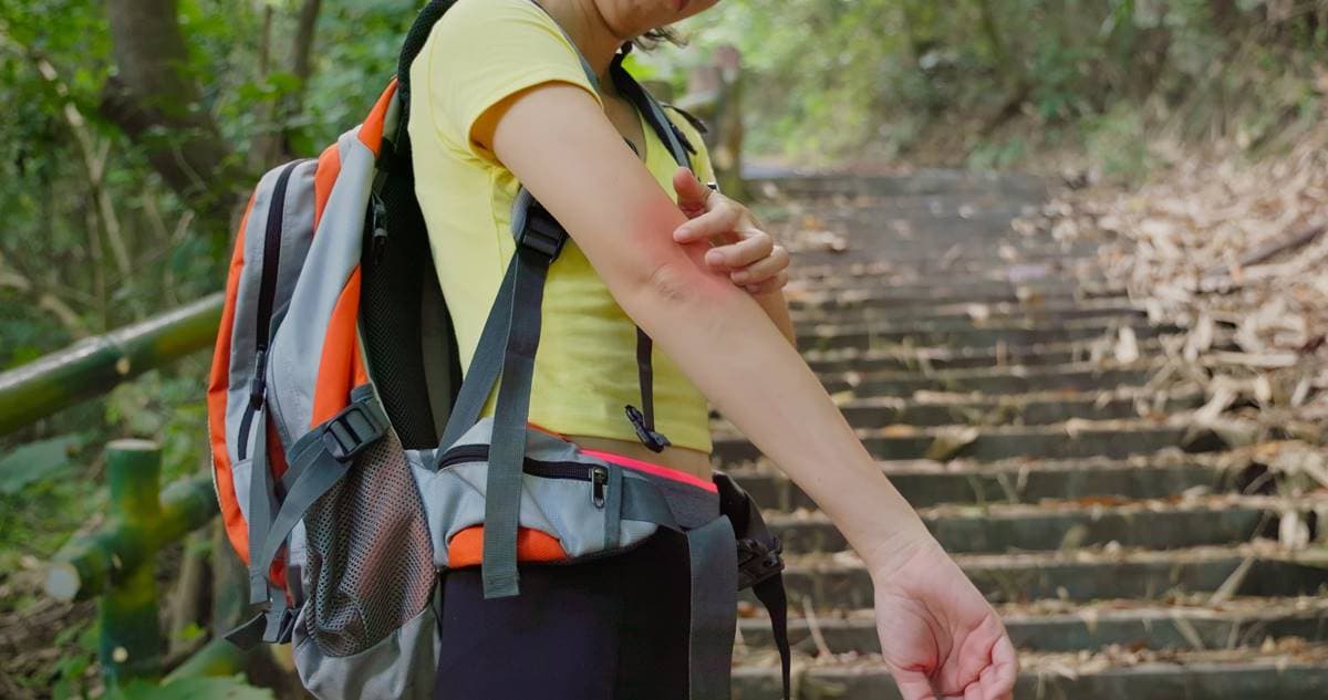 蚊子叮冰塊、指甲誰止癢?自製「這液體」驅蚊最有效,還可讓蚊子絕子絕孫 蚊子叮冰塊、指甲誰止癢?自製「這液體」驅蚊最有效,還可讓蚊子絕子絕孫