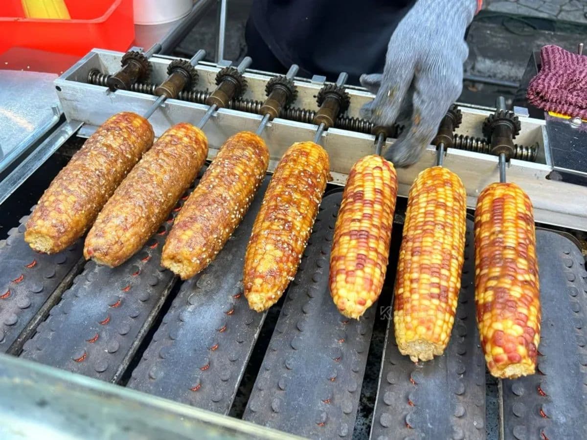 通通50元均一價!在地激推「佛系烤玉米」地點曝光,鹹甜獨門祕醬一吃愛上 通通50元均一價!在地激推「佛系烤玉米」地點曝光,鹹甜獨門祕醬一吃愛上