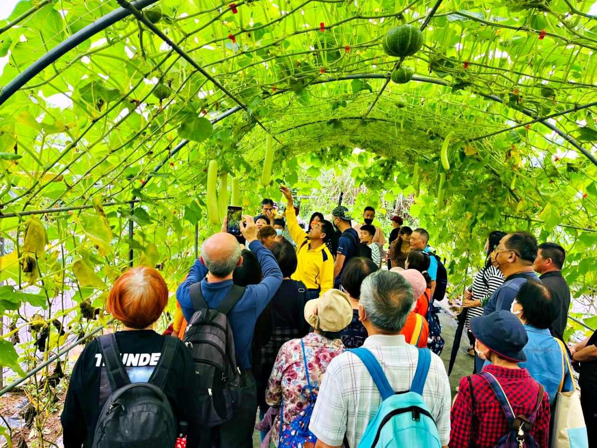 淡水最美「彩色南瓜隧道」來了!400米長免費拍到飽,開放到「這天」快朝聖 淡水最美「彩色南瓜隧道」來了!400米長免費拍到飽,開放到「這天」快朝聖