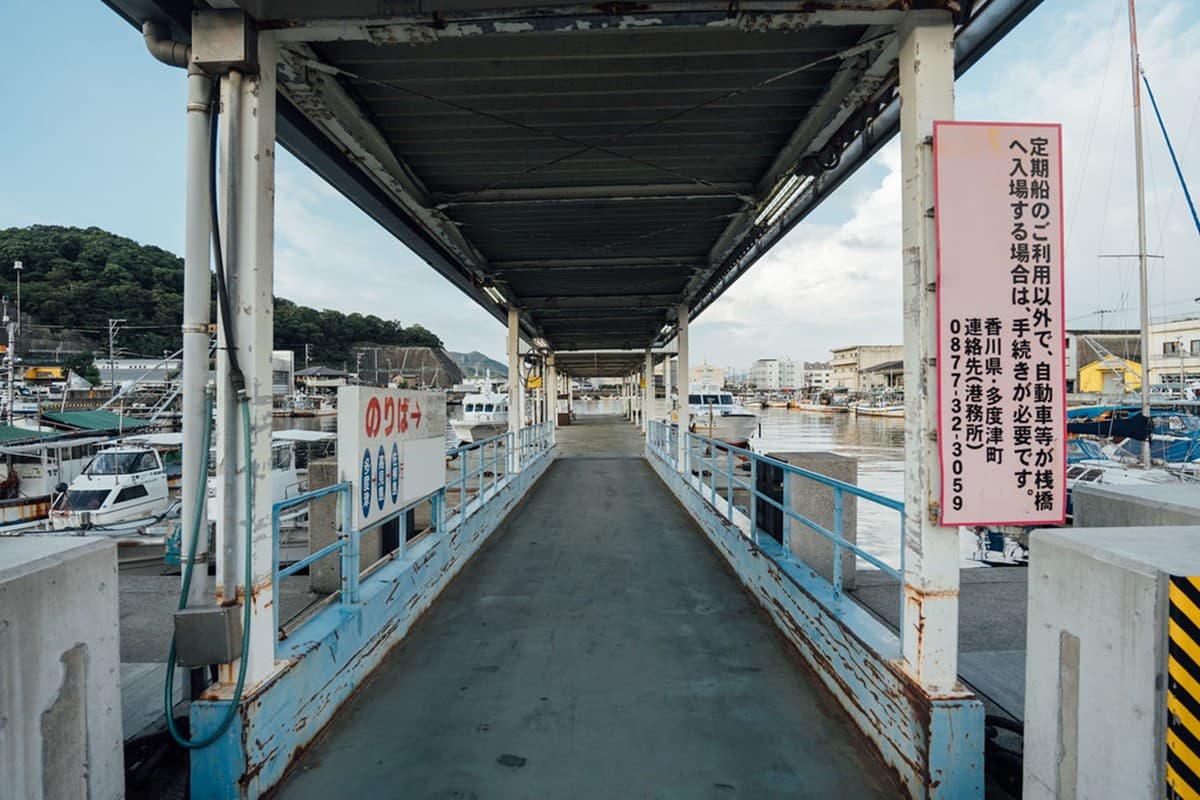 「飛天小貓」避世貓咪天堂島!超親人喵喵竟給抱,還會霸占公廁睡大覺 「飛天小貓」避世貓咪天堂島!超親人喵喵竟給抱,還會霸占公廁睡大覺