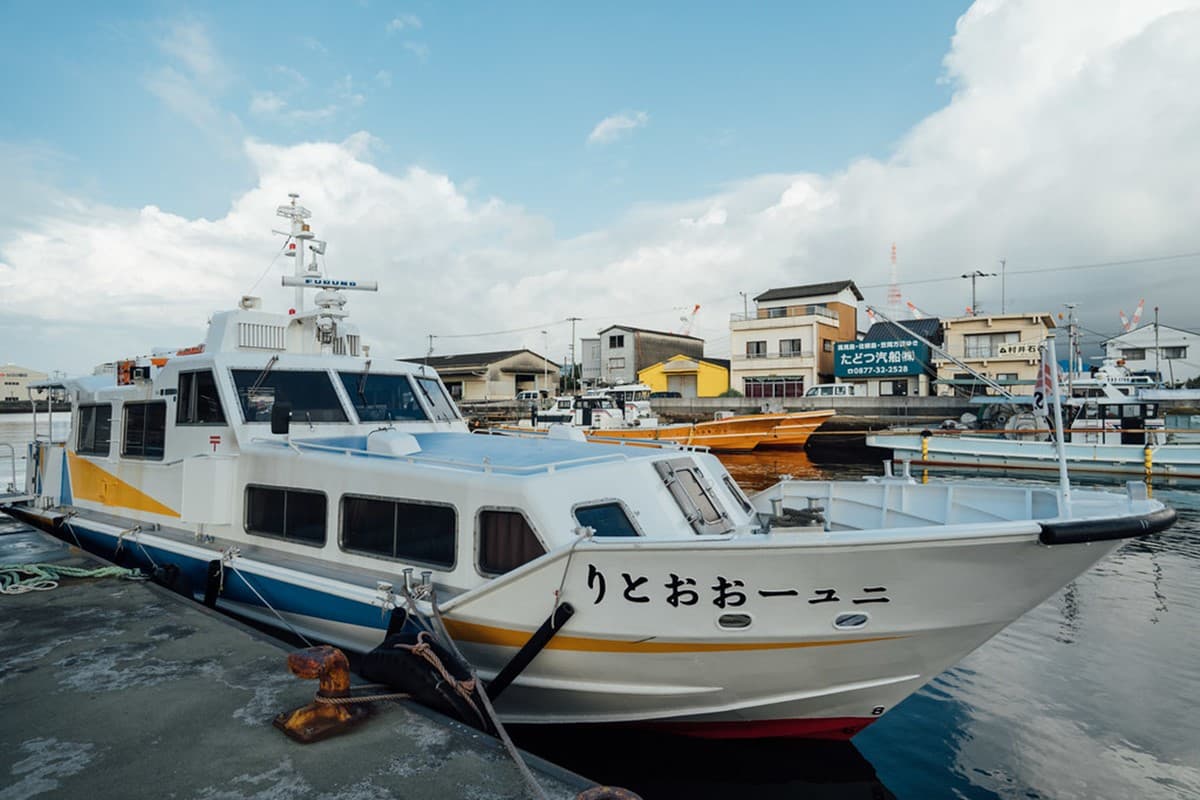 「飛天小貓」避世貓咪天堂島!超親人喵喵竟給抱,還會霸占公廁睡大覺 「飛天小貓」避世貓咪天堂島!超親人喵喵竟給抱,還會霸占公廁睡大覺