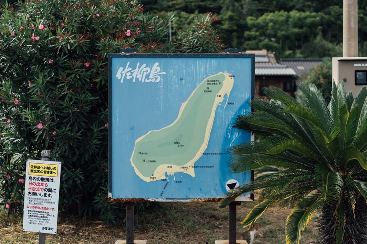 「飛天小貓」避世貓咪天堂島!超親人喵喵竟給抱,還會霸占公廁睡大覺 「飛天小貓」避世貓咪天堂島!超親人喵喵竟給抱,還會霸占公廁睡大覺