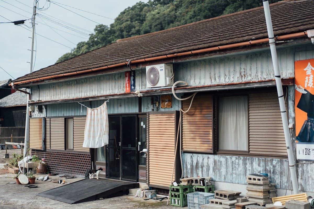 「飛天小貓」避世貓咪天堂島!超親人喵喵竟給抱,還會霸占公廁睡大覺 「飛天小貓」避世貓咪天堂島!超親人喵喵竟給抱,還會霸占公廁睡大覺
