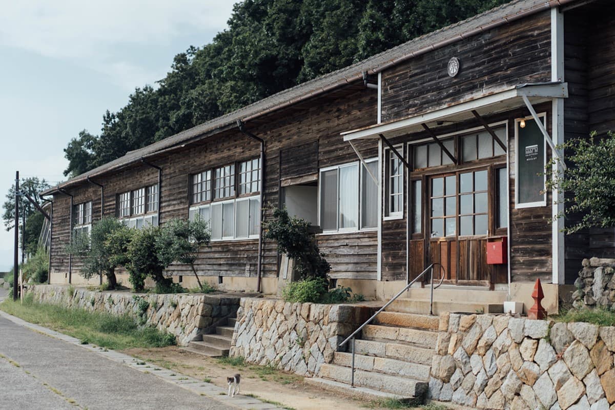「飛天小貓」避世貓咪天堂島!超親人喵喵竟給抱,還會霸占公廁睡大覺 「飛天小貓」避世貓咪天堂島!超親人喵喵竟給抱,還會霸占公廁睡大覺